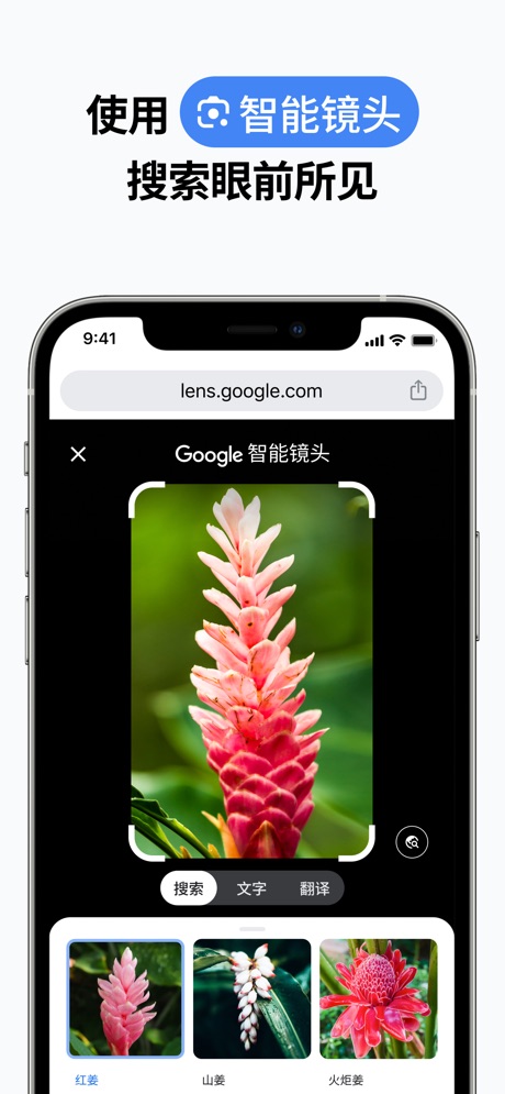 谷歌浏览器 软件截图