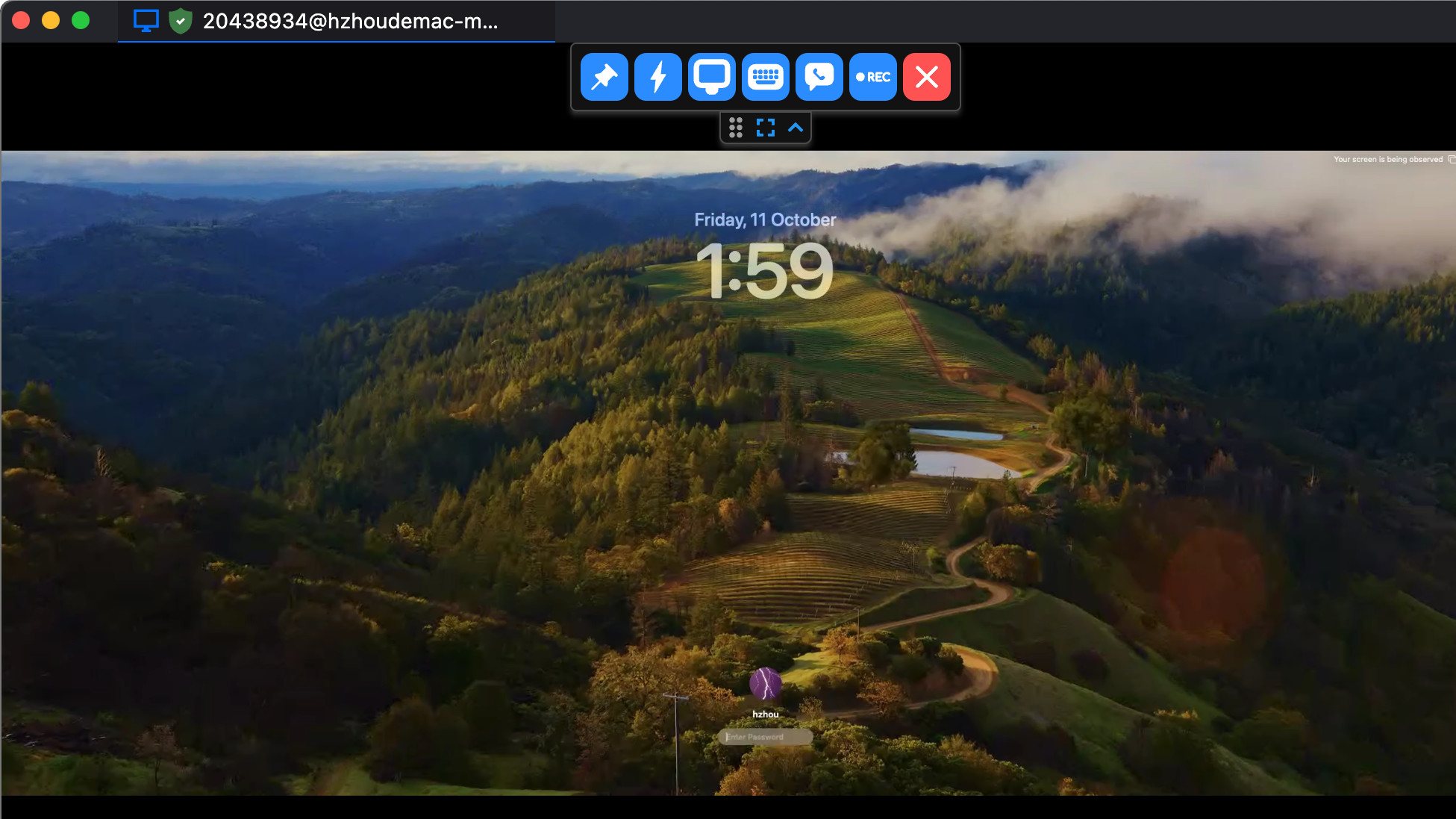 RustDesk 软件截图