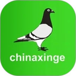 中国信鸽信息网