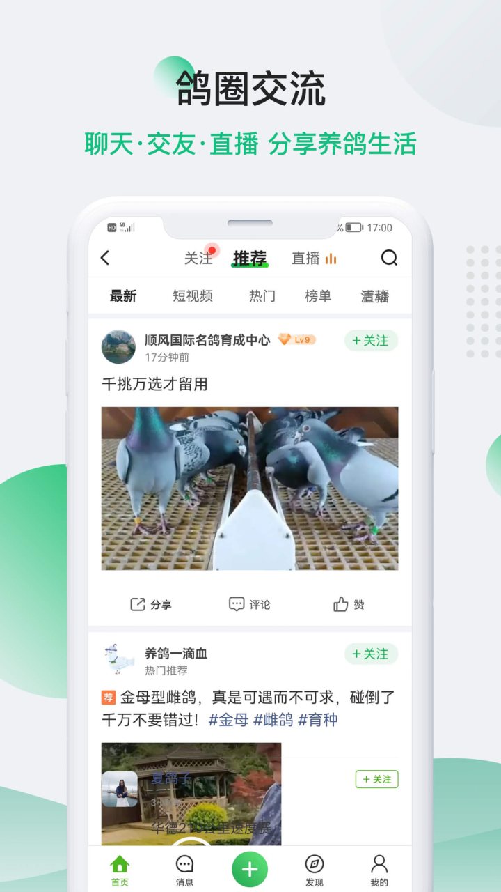 中国信鸽信息网 软件截图