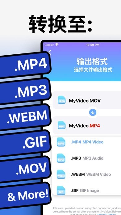 视频转换器 软件截图