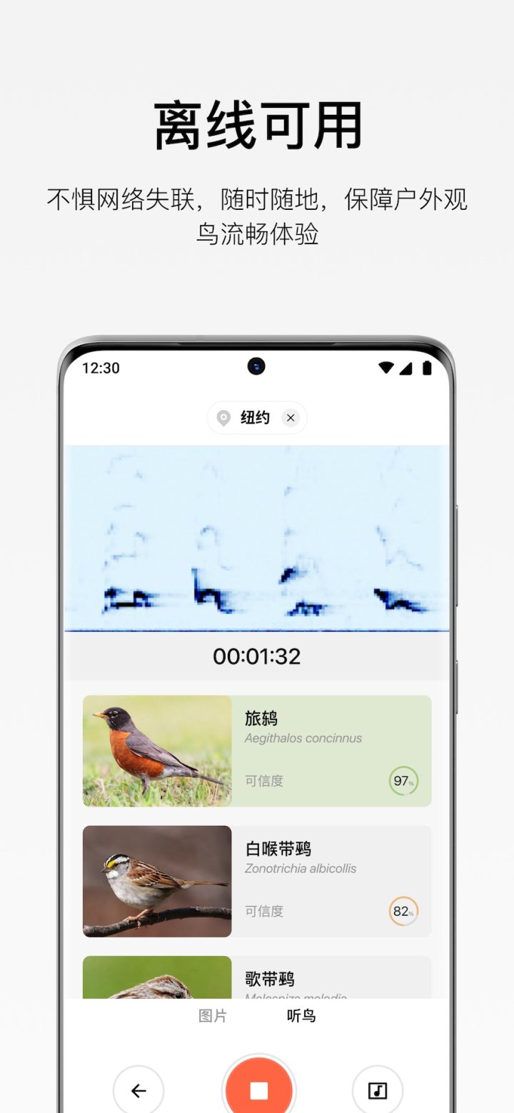 懂鸟 软件截图