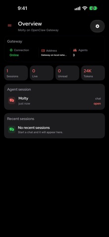 OpenClaw 软件截图