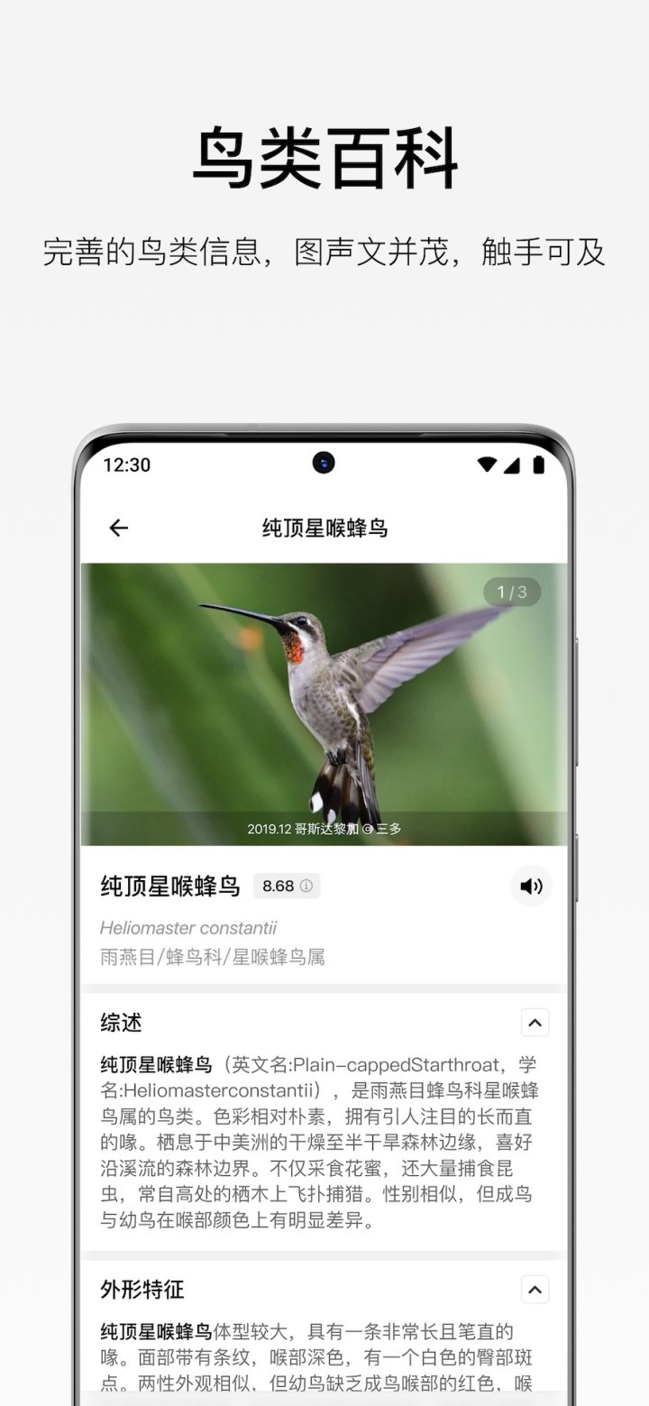 懂鸟 软件截图