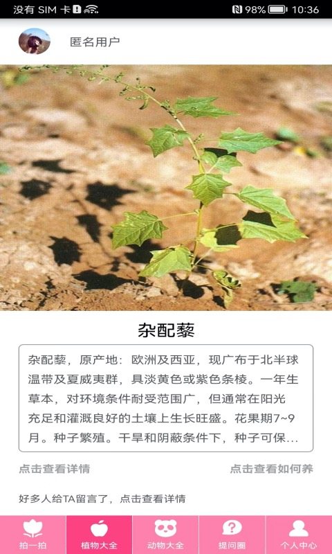 拍照识物 软件截图