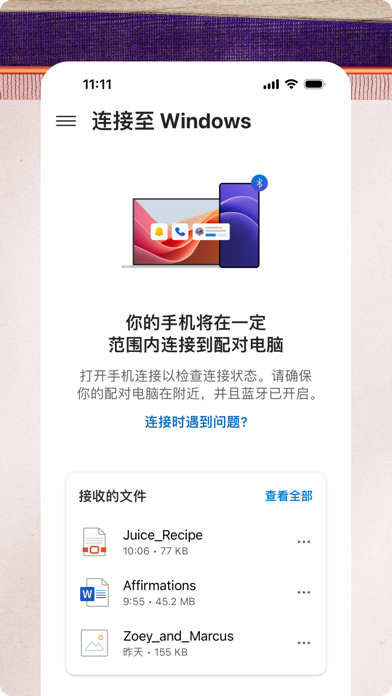 连接至Windows 软件截图