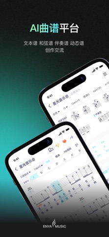 恩雅音乐 软件截图
