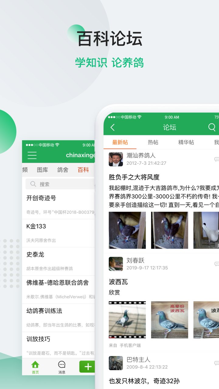 中国信鸽信息网 软件截图