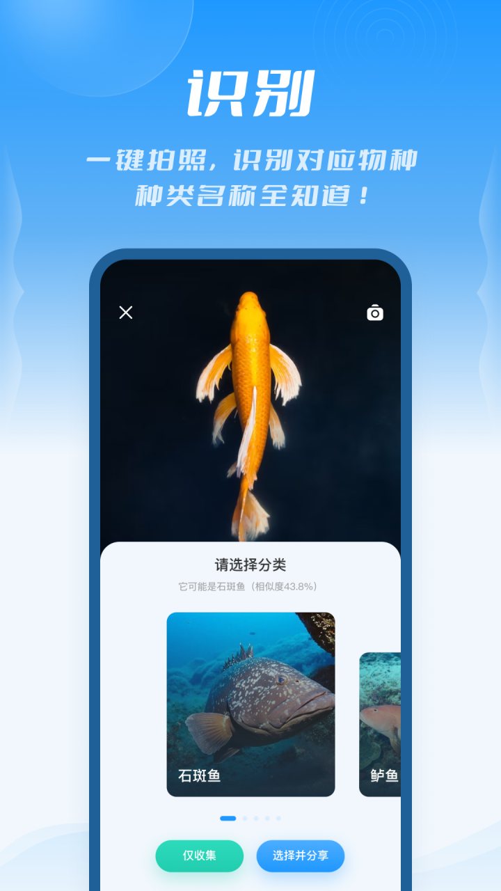 问鱼 软件截图