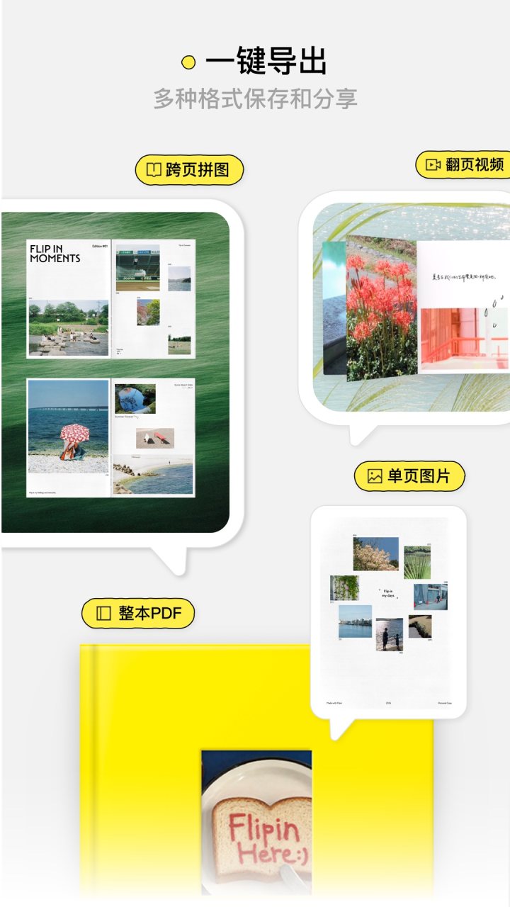 Flipin 软件截图