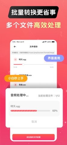 音乐格式转换器 软件截图