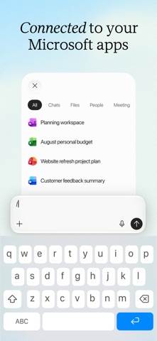 Microsoft Copilot 软件截图