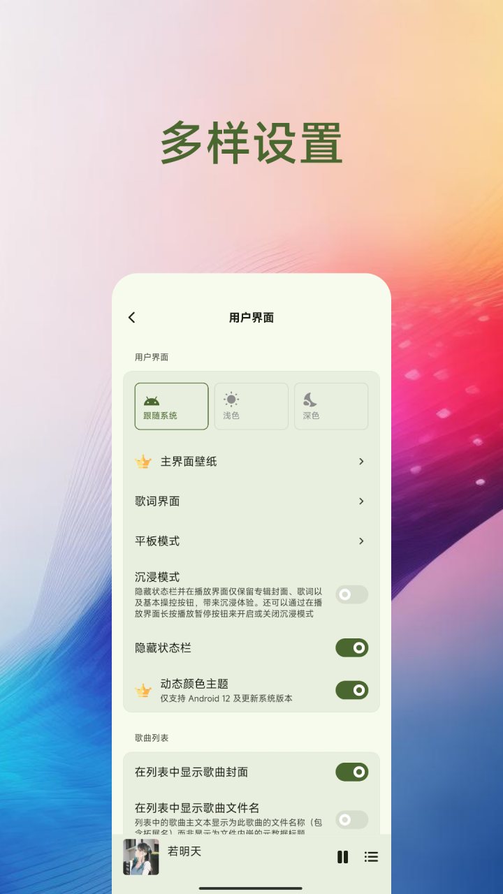 Salt Player 软件截图