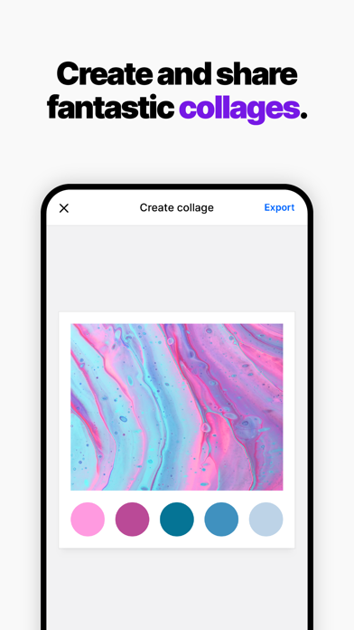 Coolors 软件截图