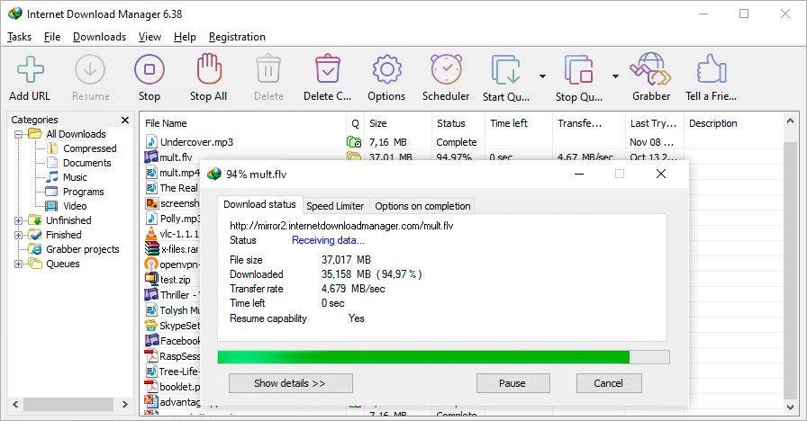 Internet Download Manager 软件截图