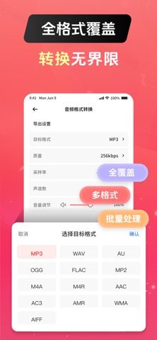 音乐格式转换器 软件截图