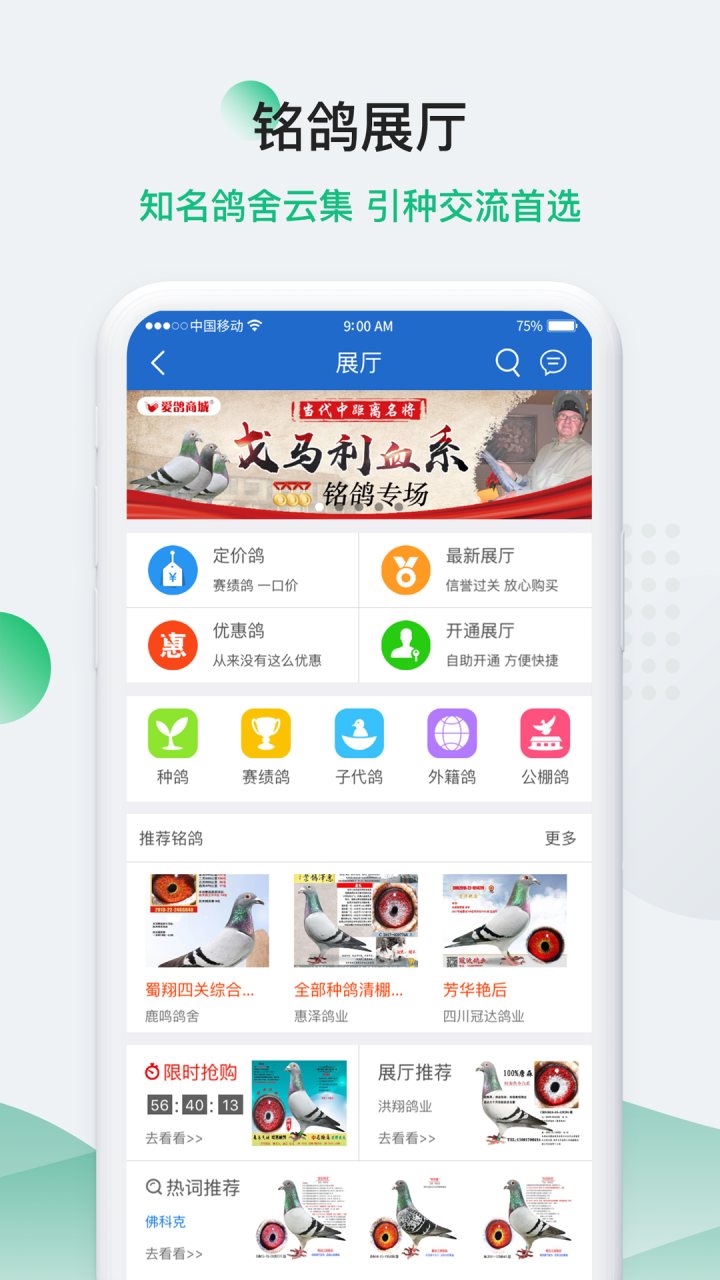 中国信鸽信息网 软件截图
