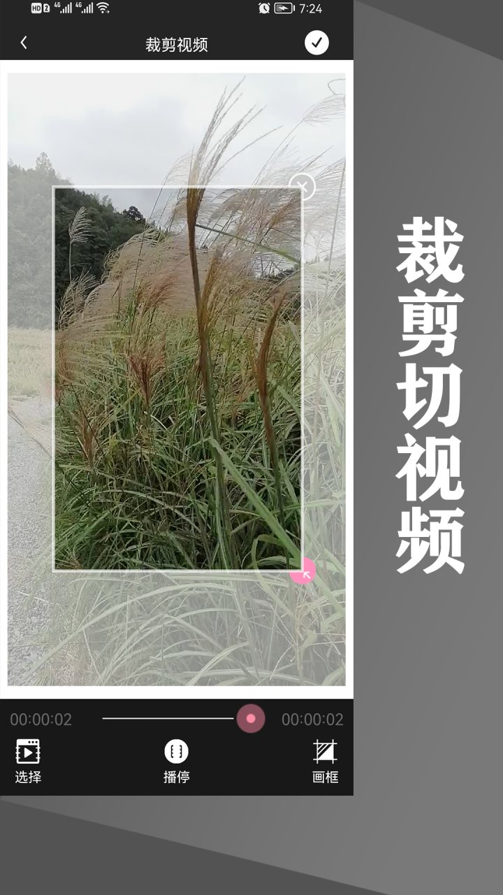 水印王 软件截图