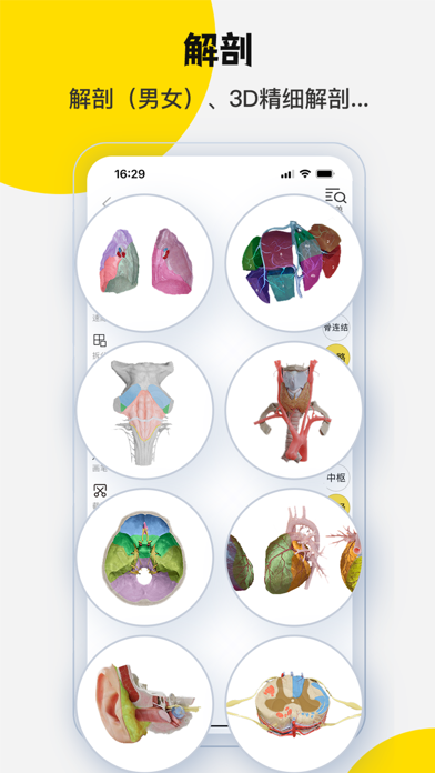 3DBody解剖 软件截图
