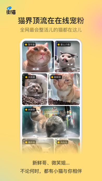 街猫 软件截图