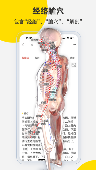 3DBody解剖 软件截图